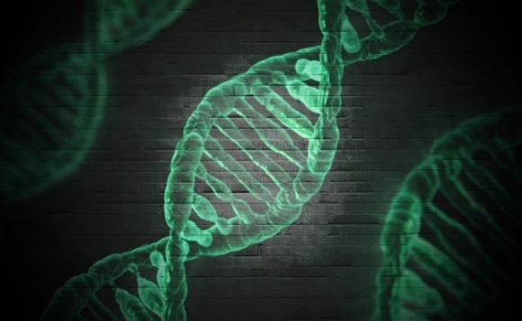 Genetic Engineering
